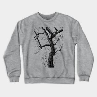 Old Tree Crewneck Sweatshirt